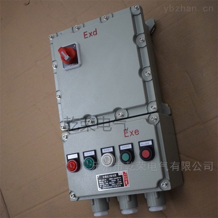 防爆电伴热控制箱的选项与安装