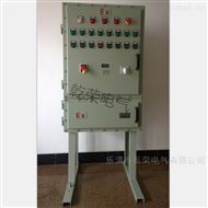BSG防爆变频控制柜