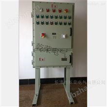 BSG防爆变频控制柜